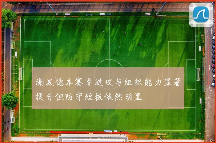 谢泼德本赛季进攻与组织能力显著提升但防守短板依然明显