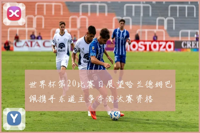世界杯第20比赛日展望哈兰德姆巴佩携手东道主争夺淘汰赛资格