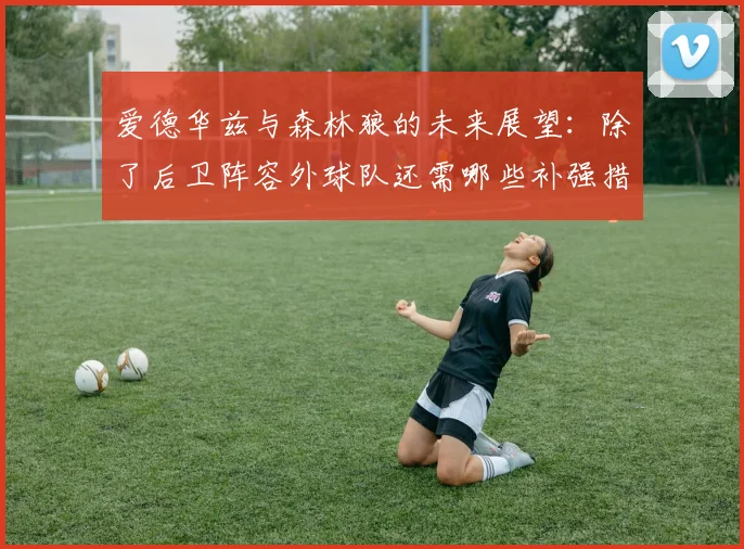 爱德华兹与森林狼的未来展望：除了后卫阵容外球队还需哪些补强措施